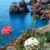 Pottery workshops at the Mediterranean, Southern France