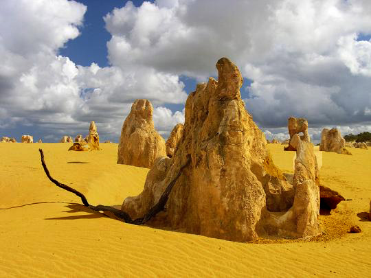 Pinnacles WA natural sculptural rock formations