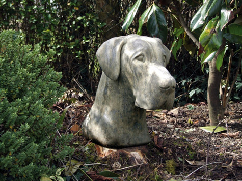 Great-Dane-Head-Stone-Statue