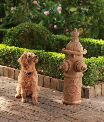 design and landscape Urban Gardens Inc dog friendly yard include a pee post