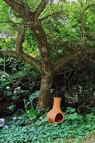 Dargle Valley pottery - terracotta pot under a tree