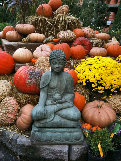 Buddha-statue-at-pumpkin-stall