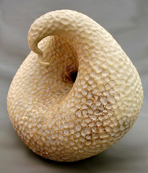 Elizabeth Shriver swan gourd