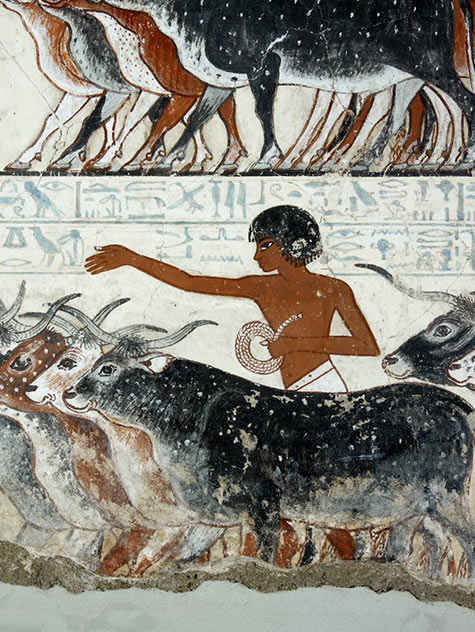 Painting from the tomb chapel of Nebamun