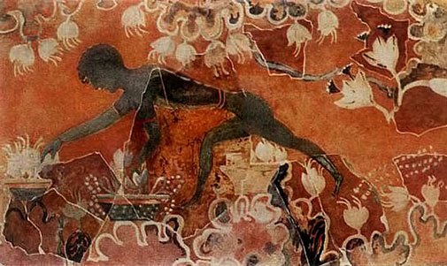 Collector of saffron. Fresco from the palace in Knossos. XVII century. BC.