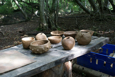 Wild-pottery-475x318