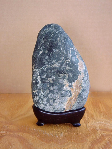 Japanese-Plum-stone-475x633