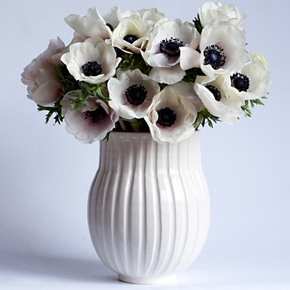 White ribbed vase - Frances Palmer