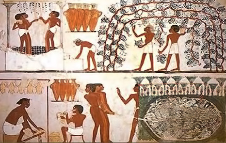 Egyptian fresco depicting wine production