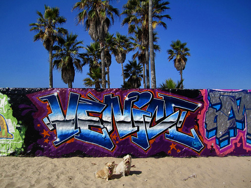 Vivianne-Robinson Venice Beach art walls