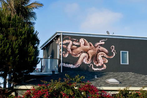 octopus308-N-Venice-Blvd,-Venice