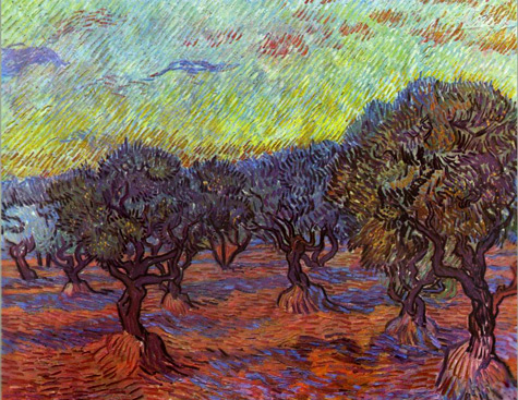 Olive-grove Vincent Van Gogh- Dutch