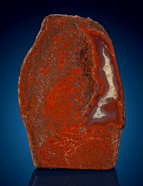 Polished-'Gem'-Red-Dinosaur-Bone-Slab.-Jurassic,-Morrison-Formation