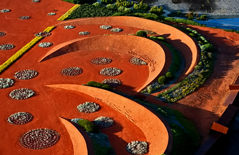 Contemporary-Australia-Garden aerial view