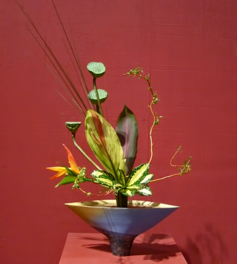 Charlene Ho ikebana display