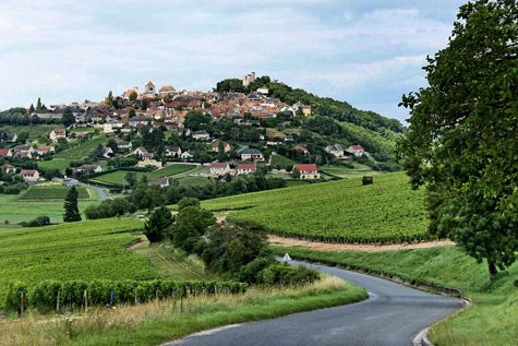Nearby to la borne - Sancerre-vineyards