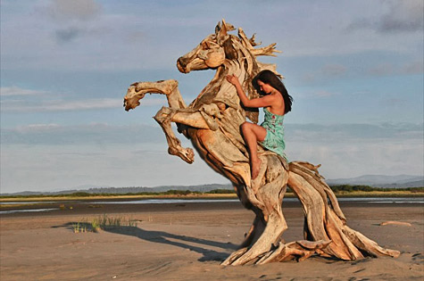 driftwood-sculptures-by-jeffro-uitto-knock-on-wood