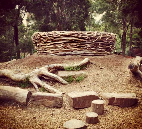 Bunjils-Nest-HealsvilleSanctuary-DavidDigapony-Instagram