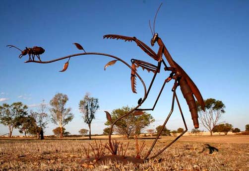 Jordan-Sprigg---Preying-Mantis Australian sculptior