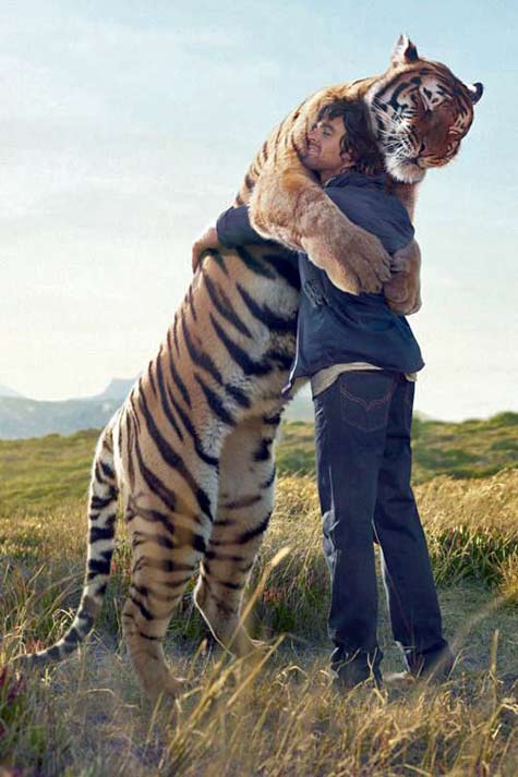 This-man-came-to-visit-his-pet-tiger-after-he-had-been-released-into-the-wild.-The-tiger-ran-to-greet-him-with-huge-hugs-and-even-introduced-him-to-his-mate