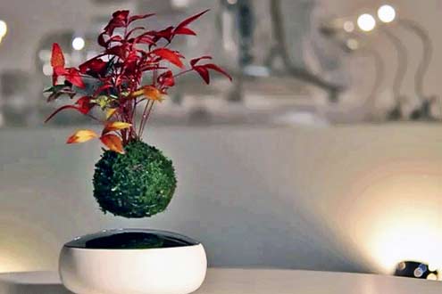 floating-air-bonsai-garden-by-hoshinchu-defies-gravity-designboom-