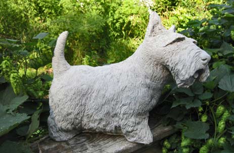 springhillstudio-Large-Scottish-Terrier-statue-in-conrete