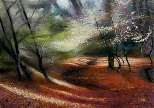 Mystical-forest-art-Middlemiss Beech-path,-dancing-light painting by Jon Middlemiss