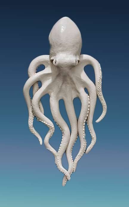 Skin-Changers-Closet_octopus_Kate-MacDowell-2015
