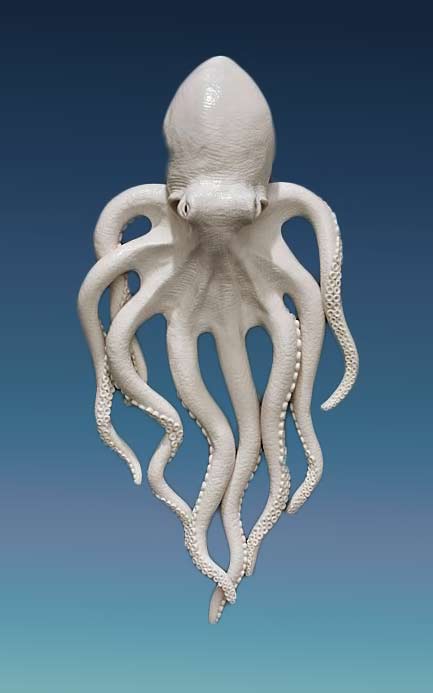 Skin-Changers-Closet_octopus_Kate-MacDowell-2015