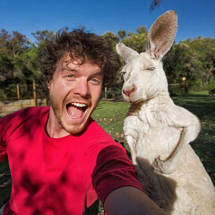 Alan Dixon meeting a white kangaroo