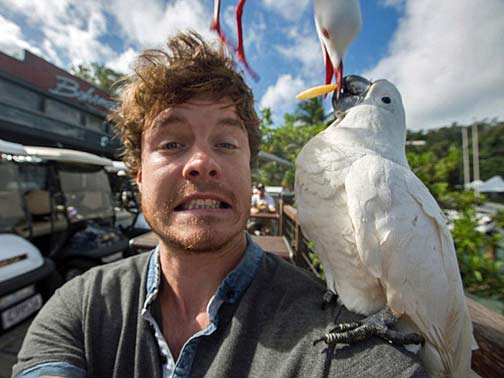 animal-selfie-potato-seagull-and-cocky-sharing-a-chip