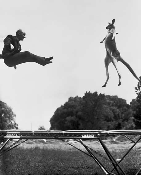 George-Nissen-(1914-2010)-•-Inventor-of-the-Trampoline-jumping-with-his-Kangaroo