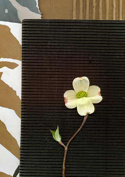 Catherine-White_dogwood flower mix media on paper