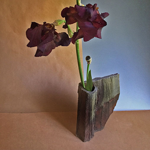 Catherine- White----Bearded-iris-in-rockscape-vase