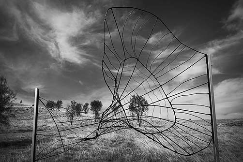 lorry-wedding-morchioro-entanglement-bill-doyle-flickr-recycled-hemp-rope-jarrah-steel