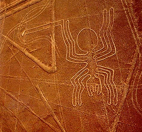 nazca-spider-nc-latinamericanstudies-