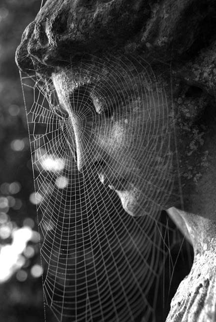 spider-web-on-face-of-statue