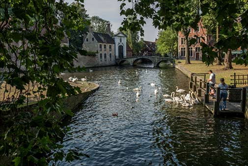 bruges-bruges-along-with-a-few-other-canal-based-northern-by David Gilson-flickr
