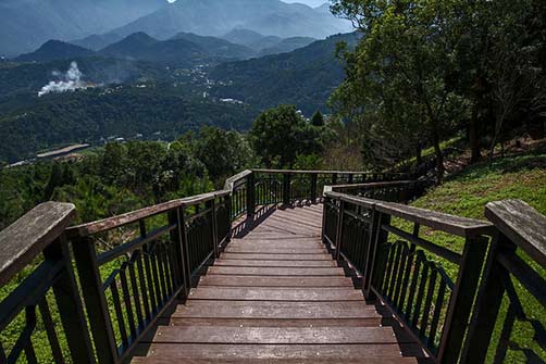 wooden-path