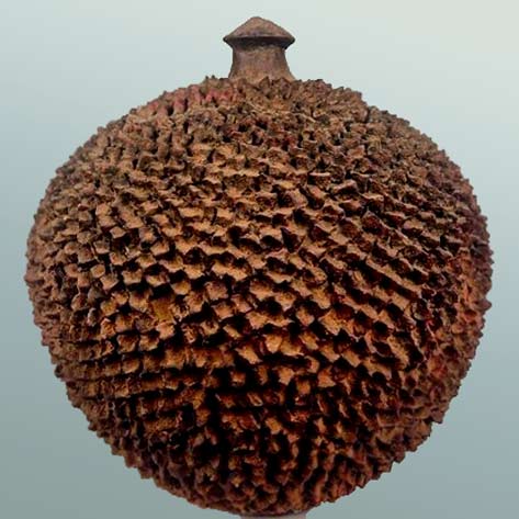 Lobi terracotta storage vessel, Burkina Faso