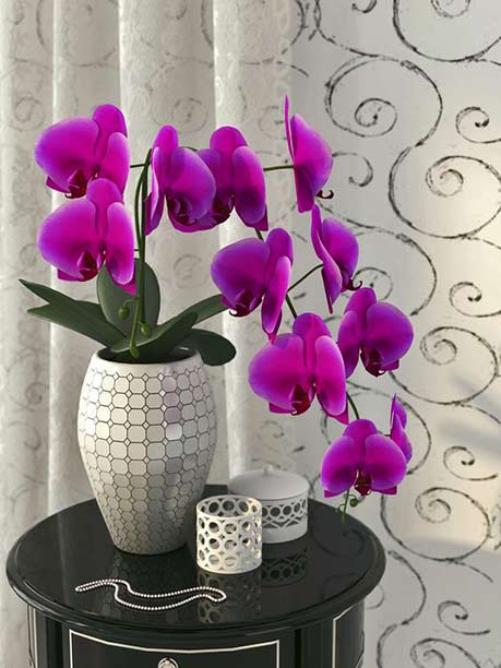 White vase with purple-flowers