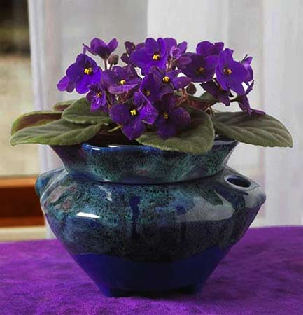 Blue ceramic planter with violets.