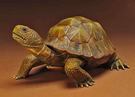 Shellden Beary bronze tortoise