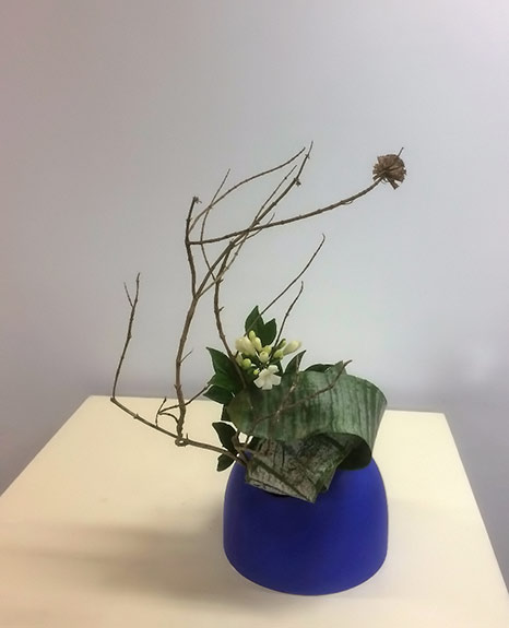 Pat's Ikebana - Bromeliad-leaves-and-blossom----2016