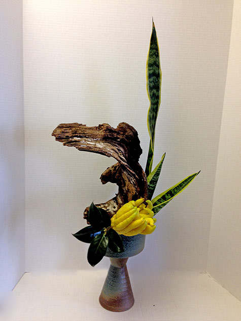 Bunjin-arrangement-Pats-Ikebana yellow flower and driftwood