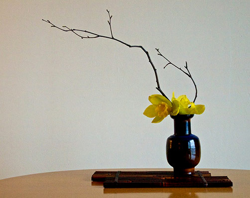 The Nordic Lotus Ikebana Blog - Birch branches and Cymbidium