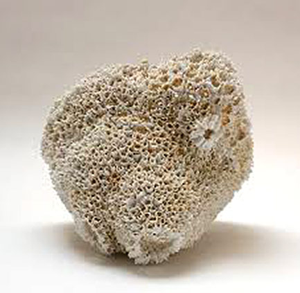 Thérèse-Lebrun-white porous ceramic-sculpture