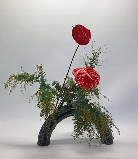 Wattle-and-Anthurium---2016-Pat's-Ikebana