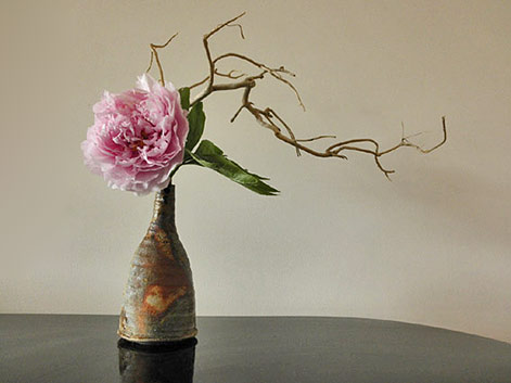 ikebana-Gunter-Black,-Australia-Jochen-Ruth - pink flower