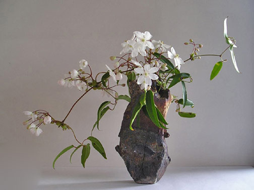 white flower ikebana by Gunter Black,-Jochen-Ruth vase